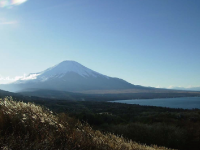 地の利